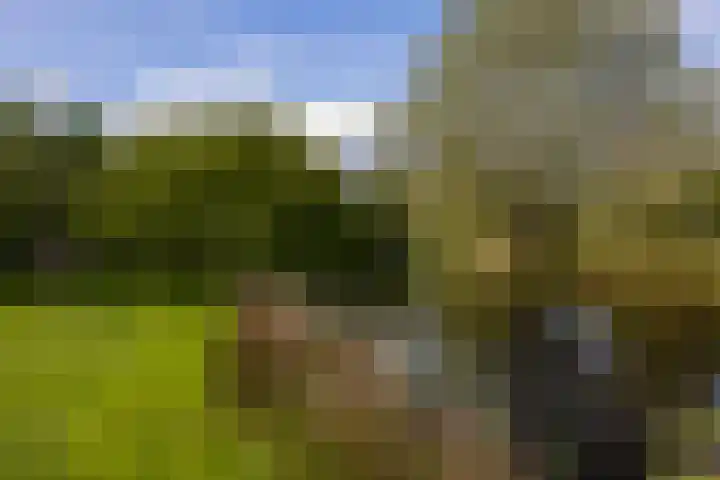Zuiderboslaan 23 Dedemsvaart thumbnail 12