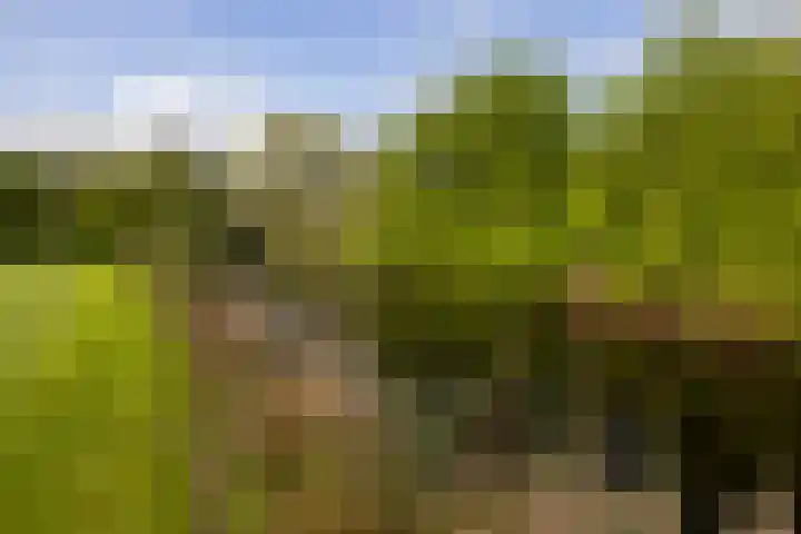 Zuiderboslaan 23 Dedemsvaart thumbnail 13
