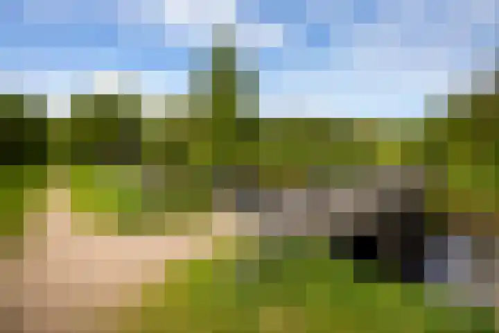 Zuiderboslaan 23 Dedemsvaart thumbnail 14