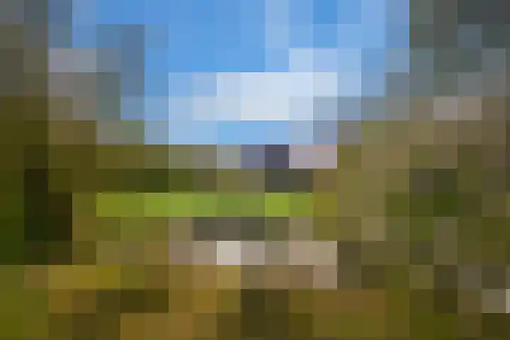 Zuiderboslaan 23 Dedemsvaart thumbnail 15