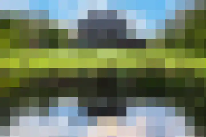 Zuiderboslaan 23 Dedemsvaart thumbnail 16