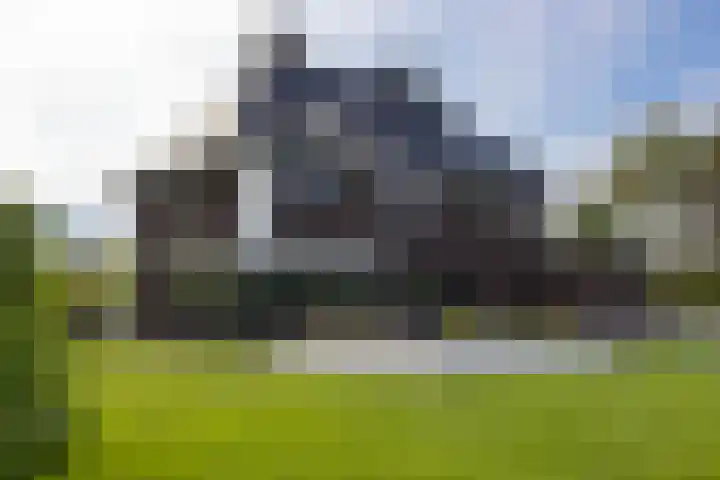 Zuiderboslaan 23 Dedemsvaart thumbnail 17