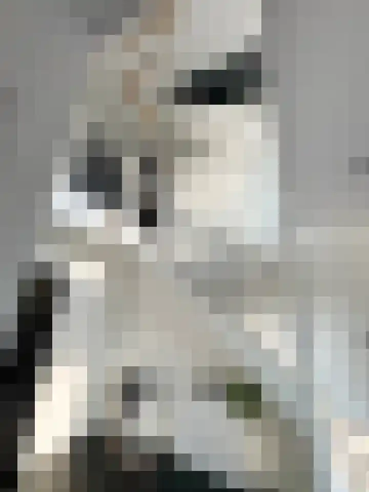 Zuiderboslaan 23 Dedemsvaart thumbnail 21