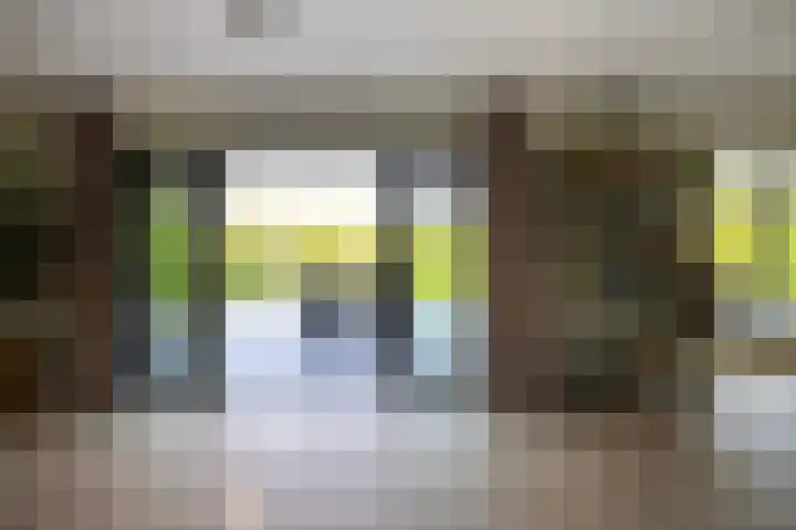 Zuiderboslaan 23 Dedemsvaart thumbnail 22