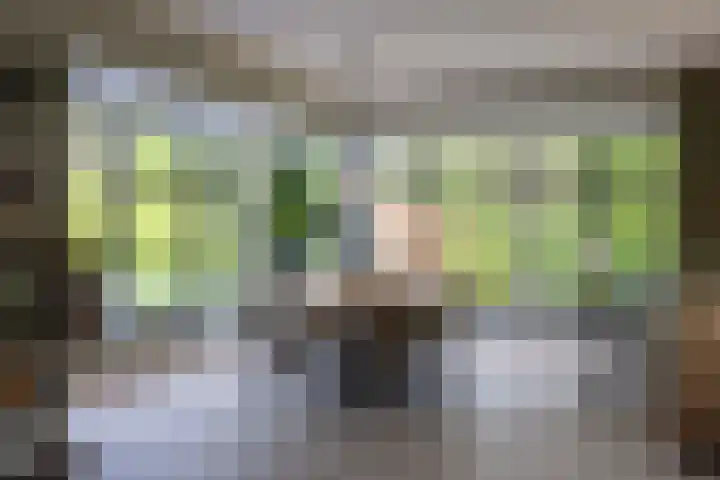 Zuiderboslaan 23 Dedemsvaart thumbnail 24