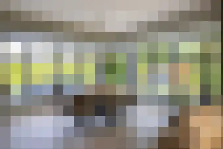 Zuiderboslaan 23 Dedemsvaart thumbnail 25