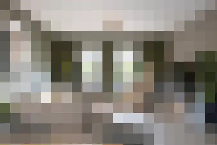 Zuiderboslaan 23 Dedemsvaart thumbnail 28