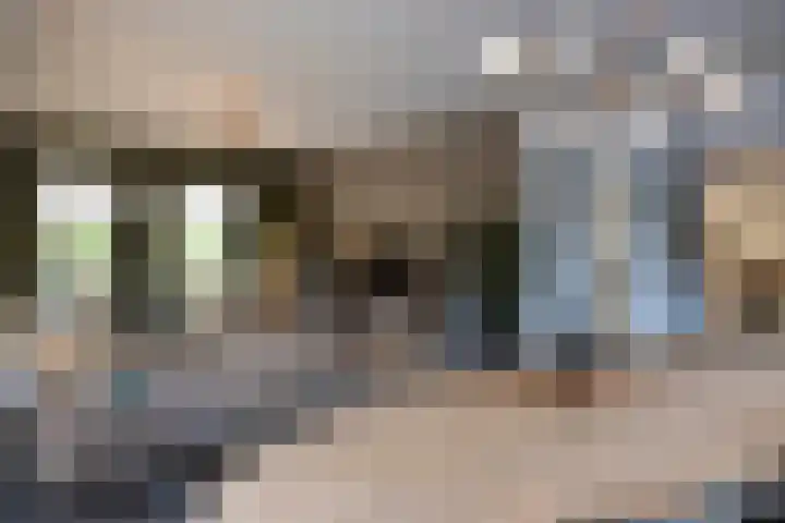 Zuiderboslaan 23 Dedemsvaart thumbnail 29