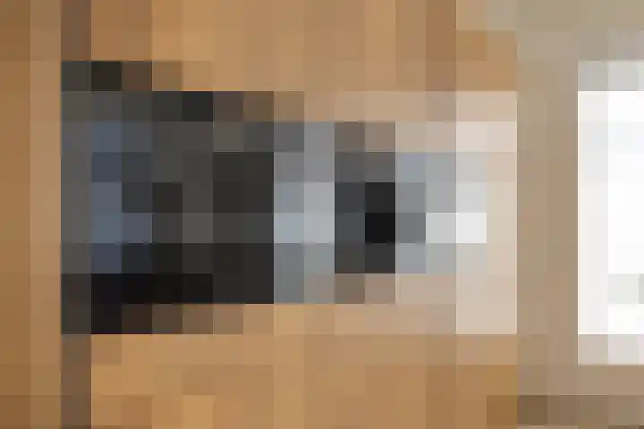 Zuiderboslaan 23 Dedemsvaart thumbnail 33