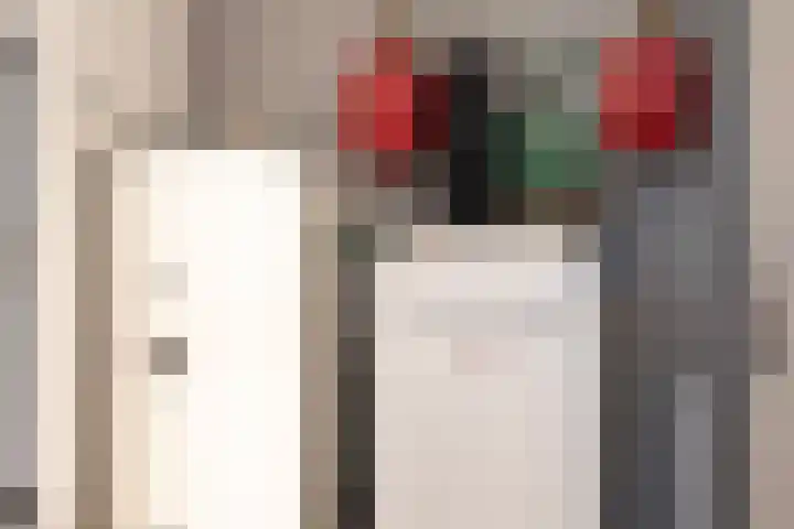 Zuiderboslaan 23 Dedemsvaart thumbnail 36