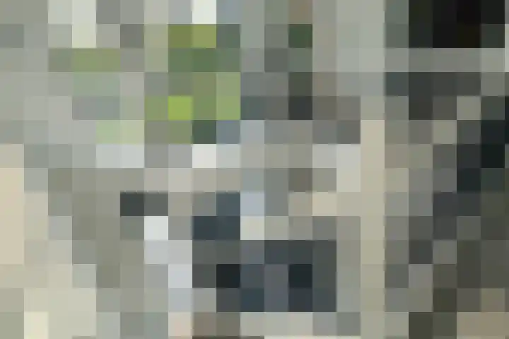 Zuiderboslaan 23 Dedemsvaart thumbnail 39