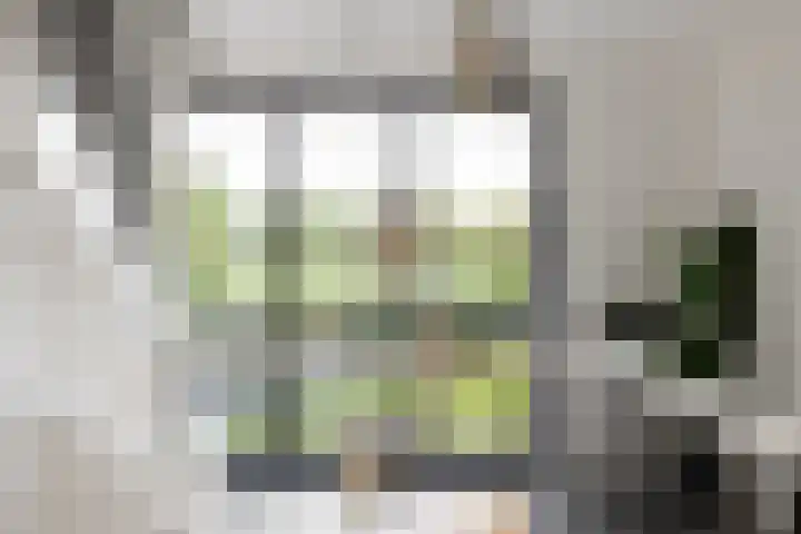 Zuiderboslaan 23 Dedemsvaart thumbnail 40