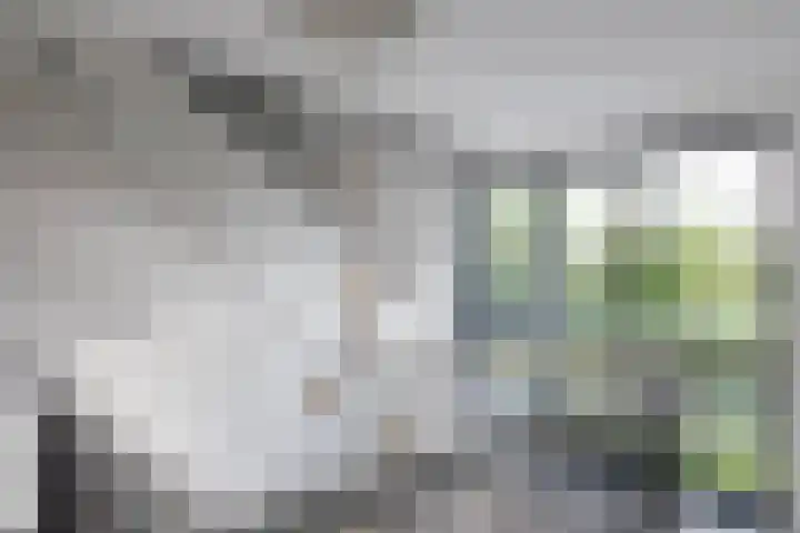 Zuiderboslaan 23 Dedemsvaart thumbnail 41