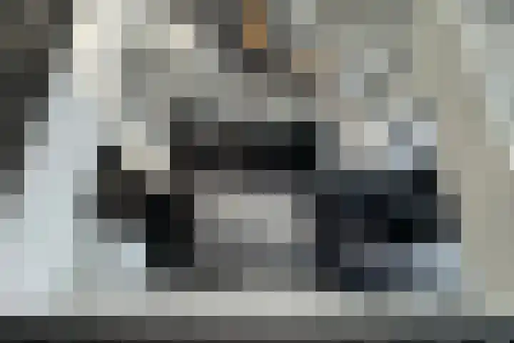 Zuiderboslaan 23 Dedemsvaart thumbnail 42
