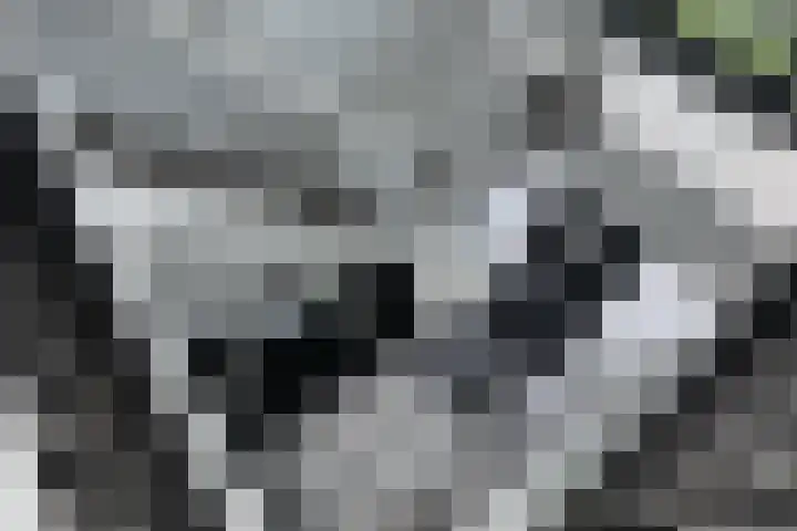 Zuiderboslaan 23 Dedemsvaart thumbnail 43