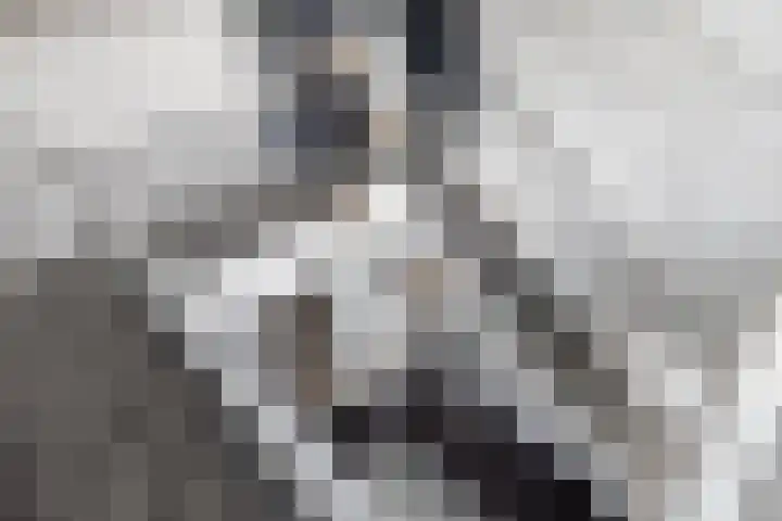 Zuiderboslaan 23 Dedemsvaart thumbnail 44