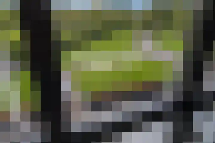 Zuiderboslaan 23 Dedemsvaart thumbnail 45