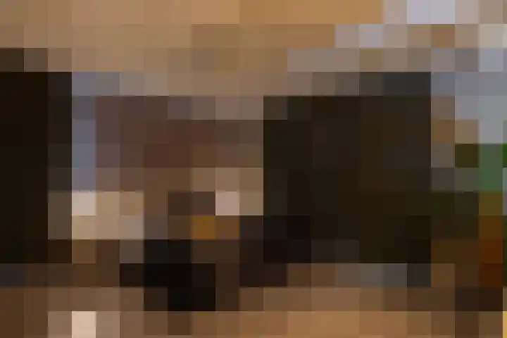 Zuiderboslaan 23 Dedemsvaart thumbnail 48