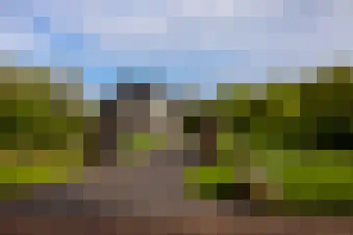 Zuiderboslaan 23 Dedemsvaart thumbnail 5