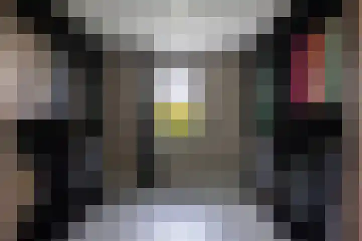 Zuiderboslaan 23 Dedemsvaart thumbnail 50