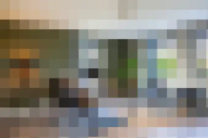 Zuiderboslaan 23 Dedemsvaart thumbnail 52