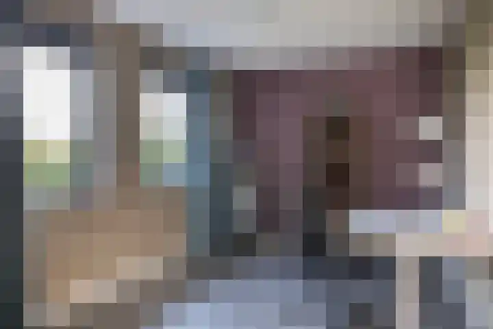 Zuiderboslaan 23 Dedemsvaart thumbnail 53
