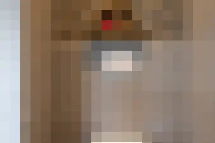 Zuiderboslaan 23 Dedemsvaart thumbnail 61