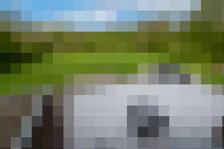 Zuiderboslaan 23 Dedemsvaart thumbnail 62