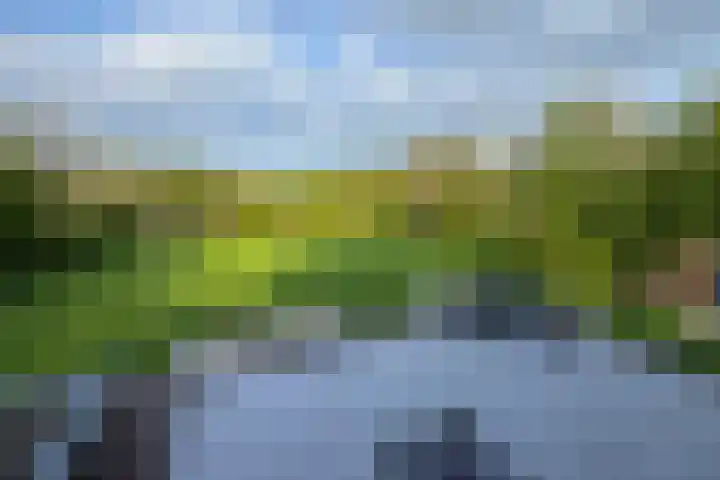 Zuiderboslaan 23 Dedemsvaart thumbnail 63