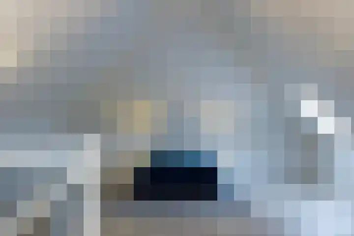 Zuiderboslaan 23 Dedemsvaart thumbnail 64