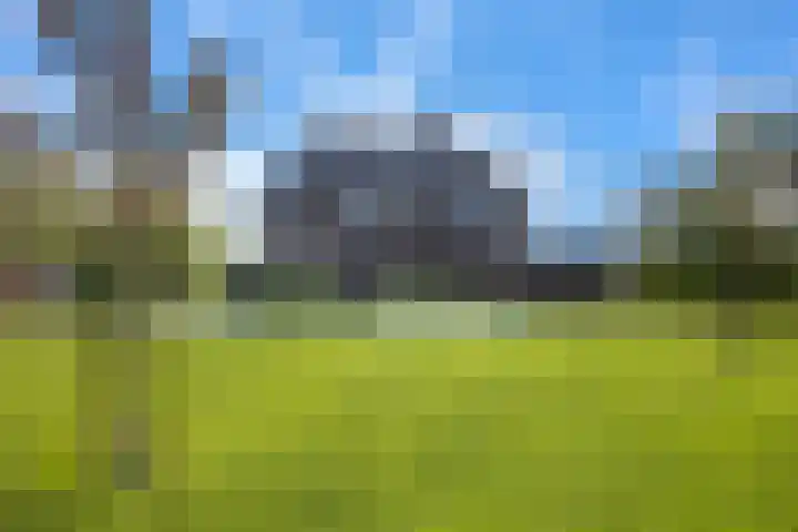 Zuiderboslaan 23 Dedemsvaart thumbnail 66
