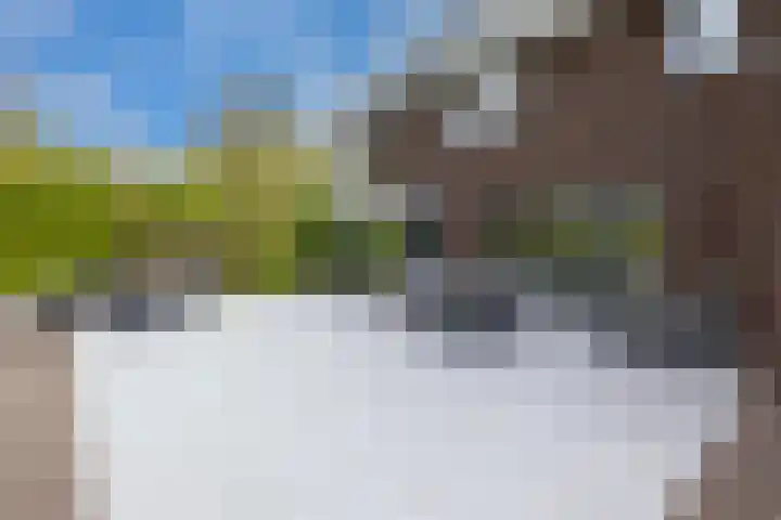 Zuiderboslaan 23 Dedemsvaart thumbnail 67