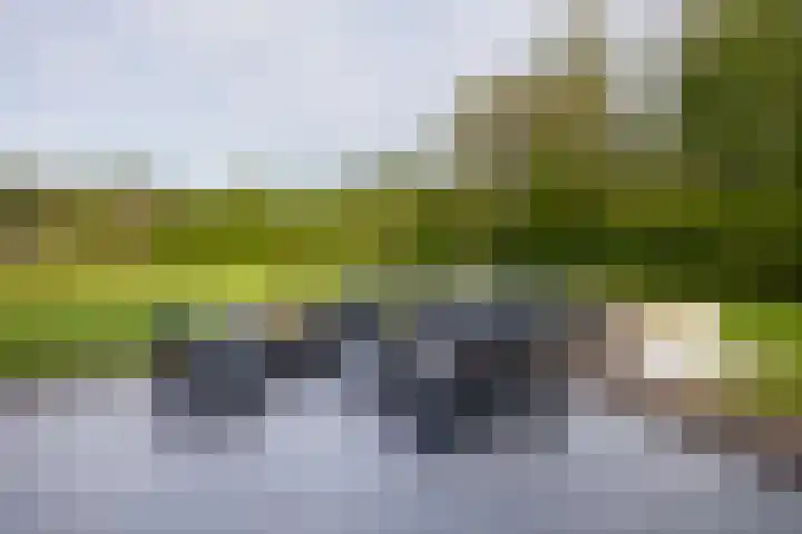 Zuiderboslaan 23 Dedemsvaart thumbnail 68
