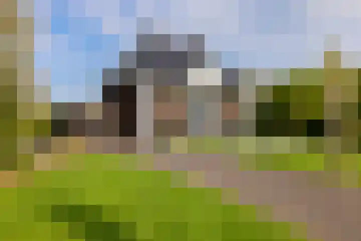Zuiderboslaan 23 Dedemsvaart thumbnail 7