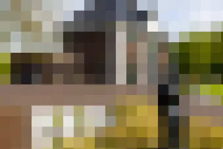 Zuiderboslaan 23 Dedemsvaart thumbnail 8