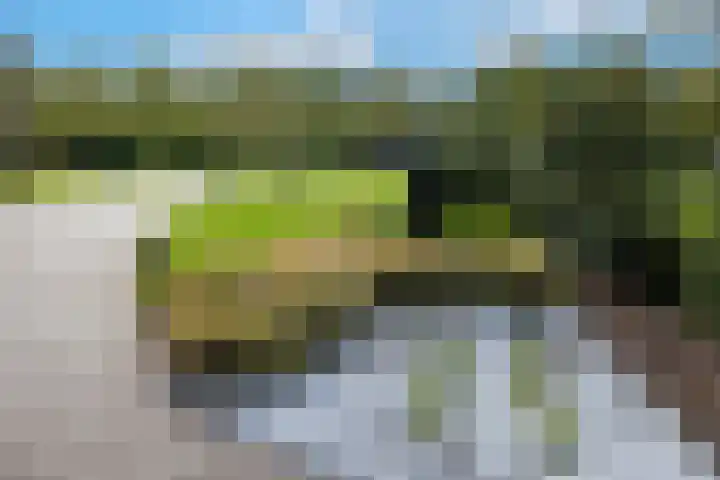 Zuiderboslaan 23 Dedemsvaart thumbnail 9