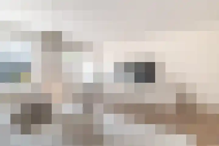Zuiderbreedte 21 De Meern thumbnail 7