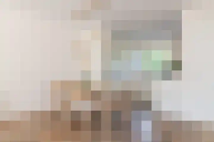 Zuiderbreedte 21 De Meern thumbnail 9