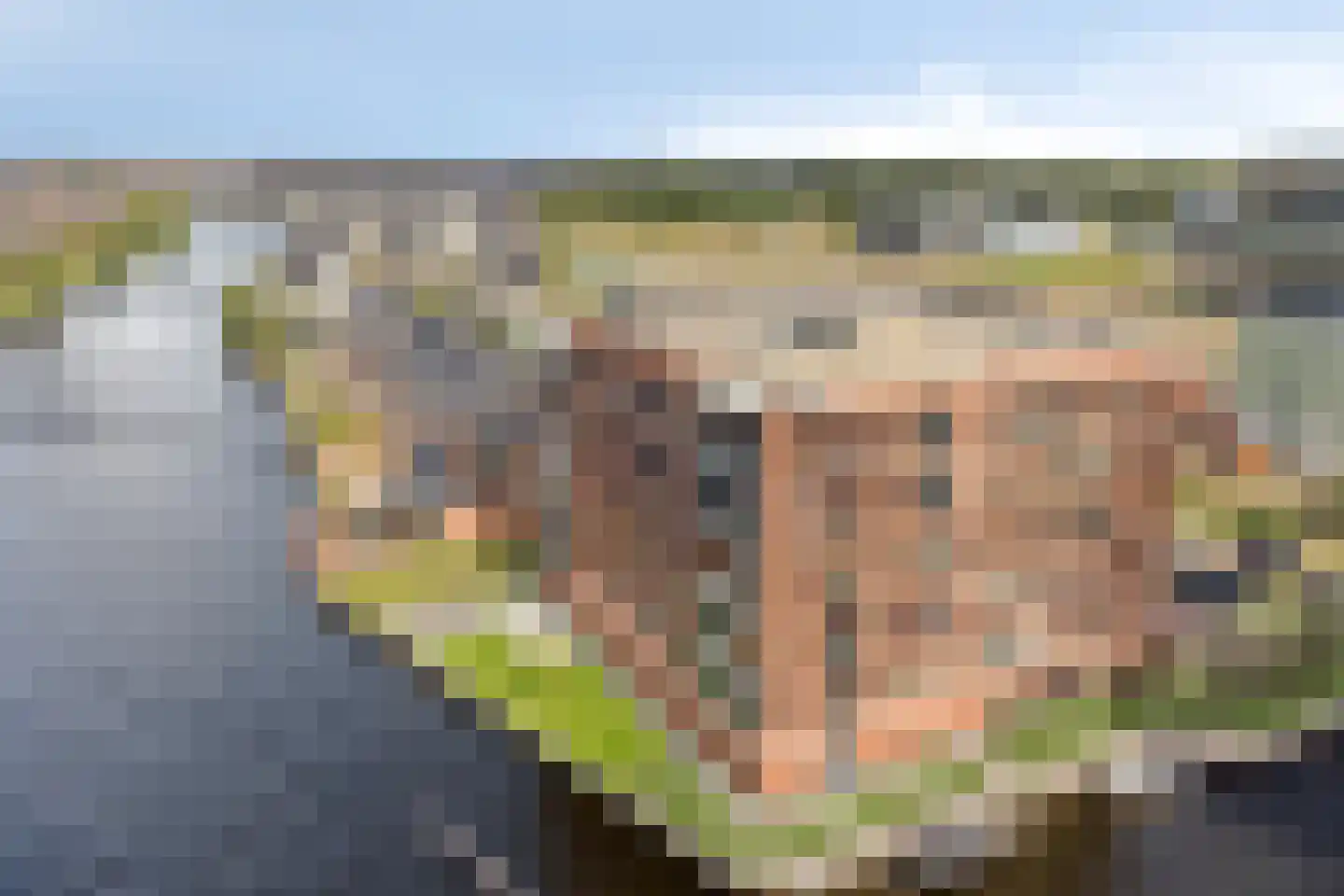 Zuiderburg 66 Oegstgeest thumbnail 7