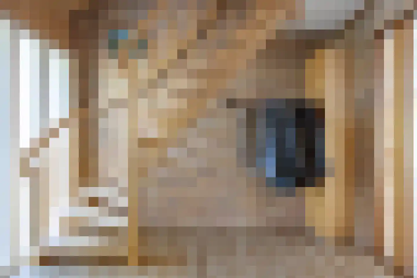 Zuiderbuuren 5 Marum thumbnail 12