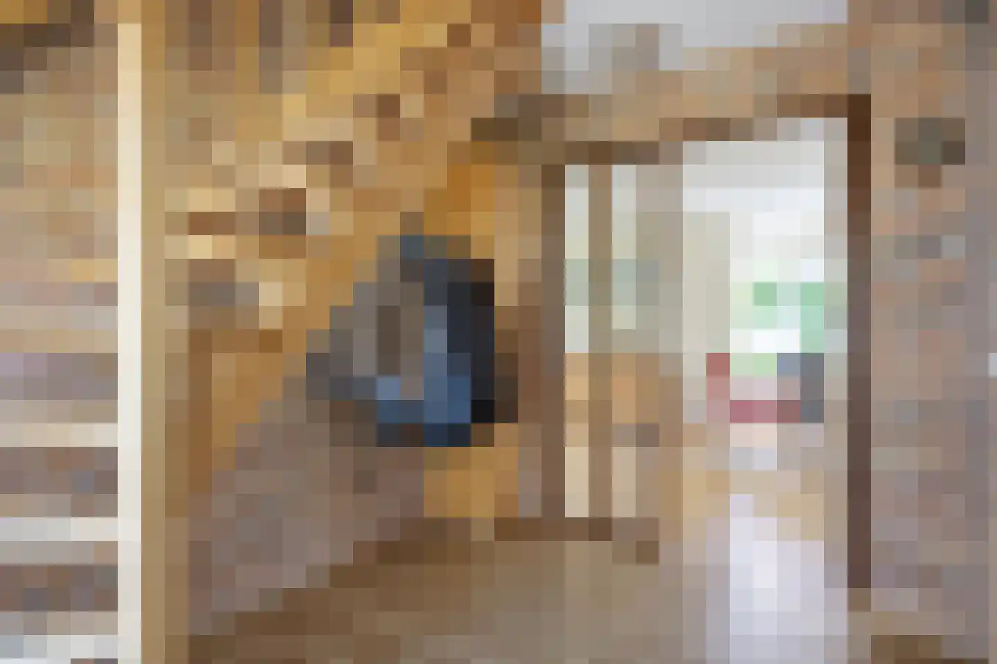 Zuiderbuuren 5 Marum thumbnail 13