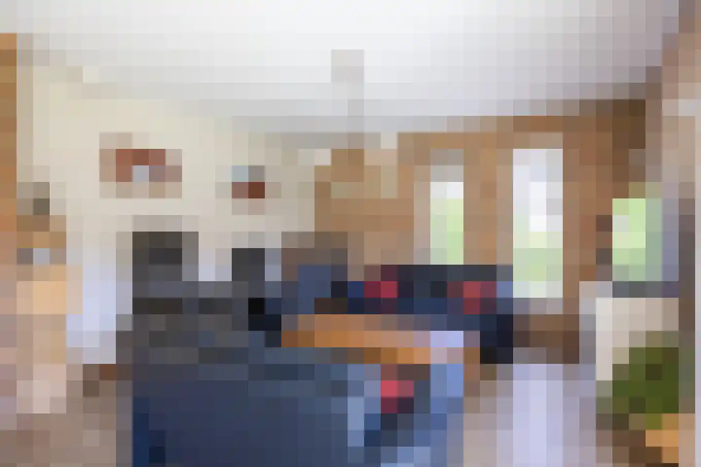 Zuiderbuuren 5 Marum thumbnail 19