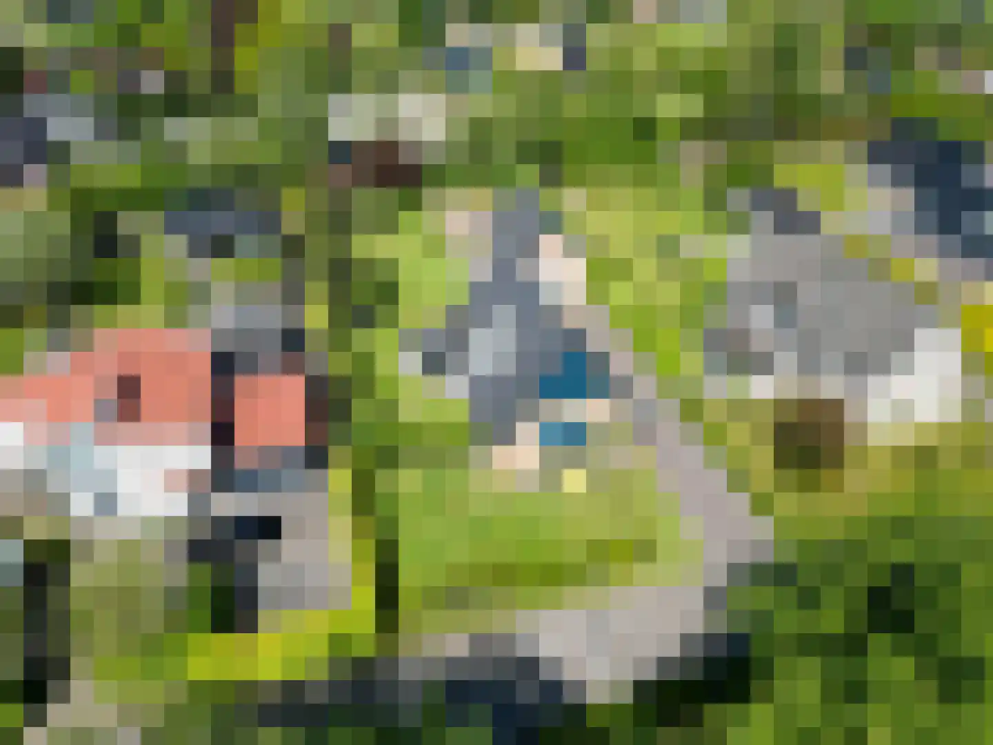 Zuiderbuuren 5 Marum thumbnail 49