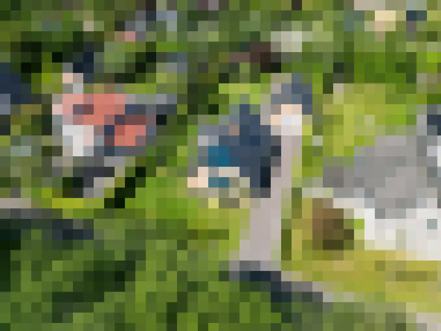 Zuiderbuuren 5 Marum thumbnail 5