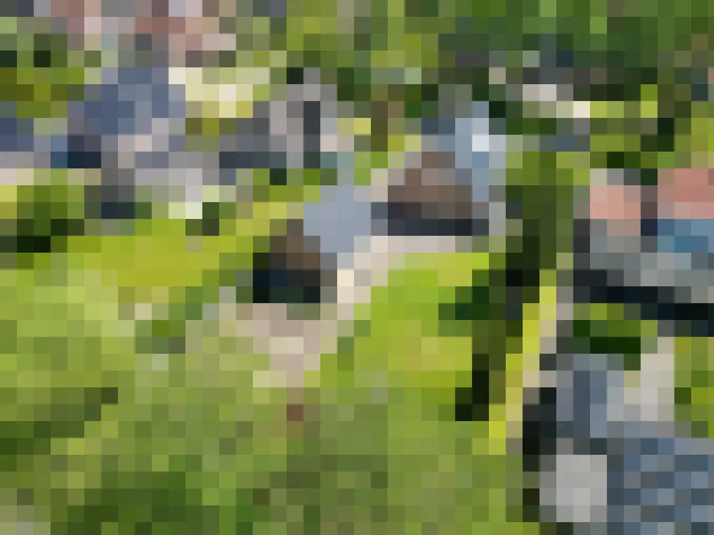 Zuiderbuuren 5 Marum thumbnail 50
