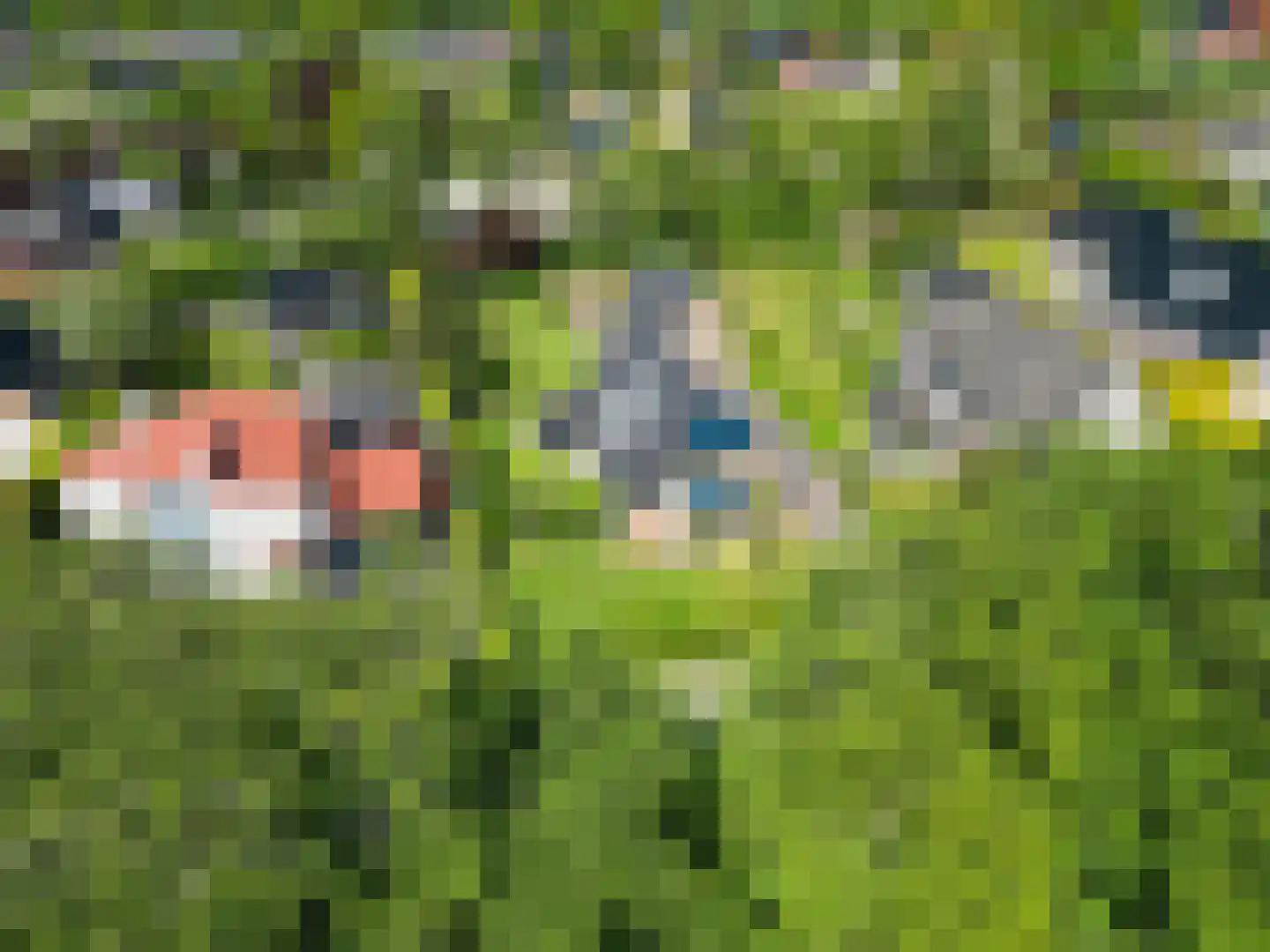 Zuiderbuuren 5 Marum thumbnail 52
