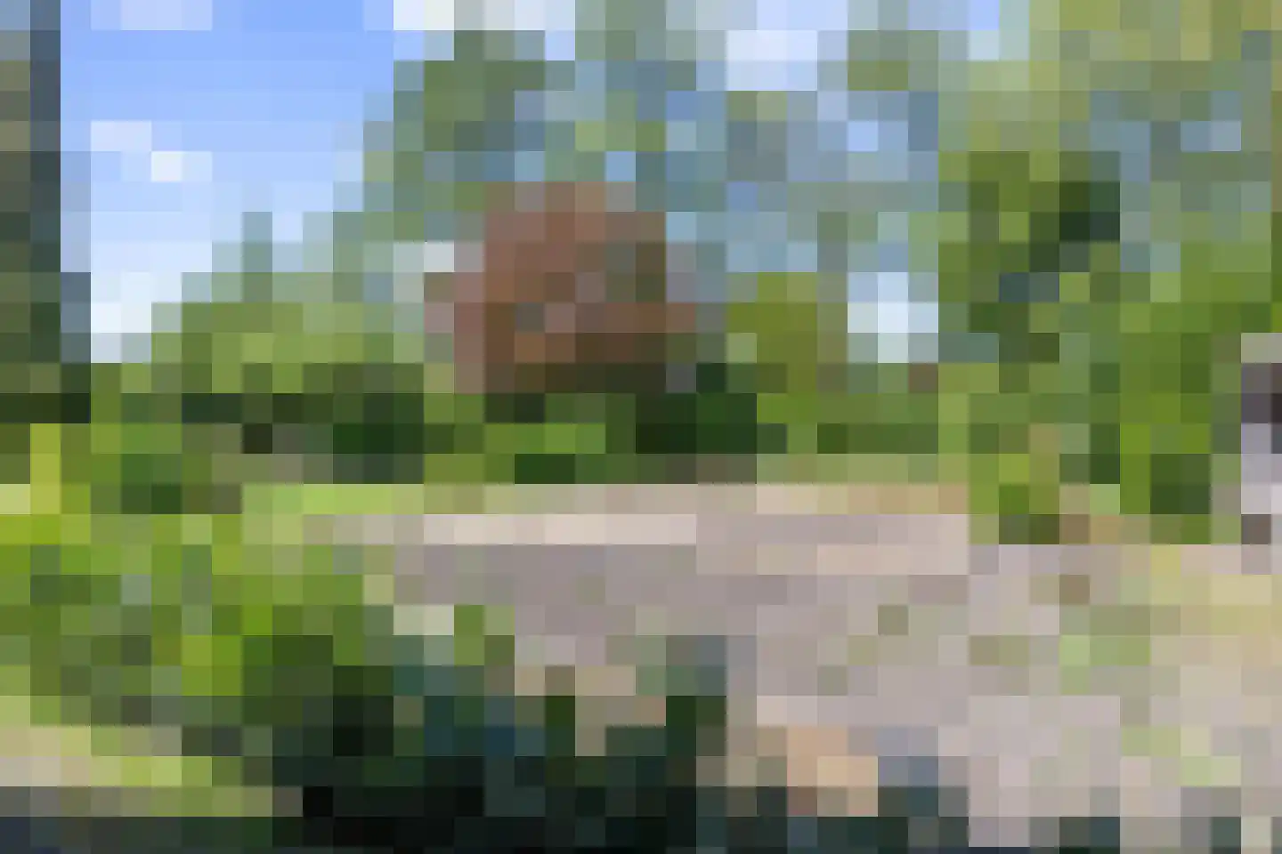Zuiderbuuren 5 Marum thumbnail 62