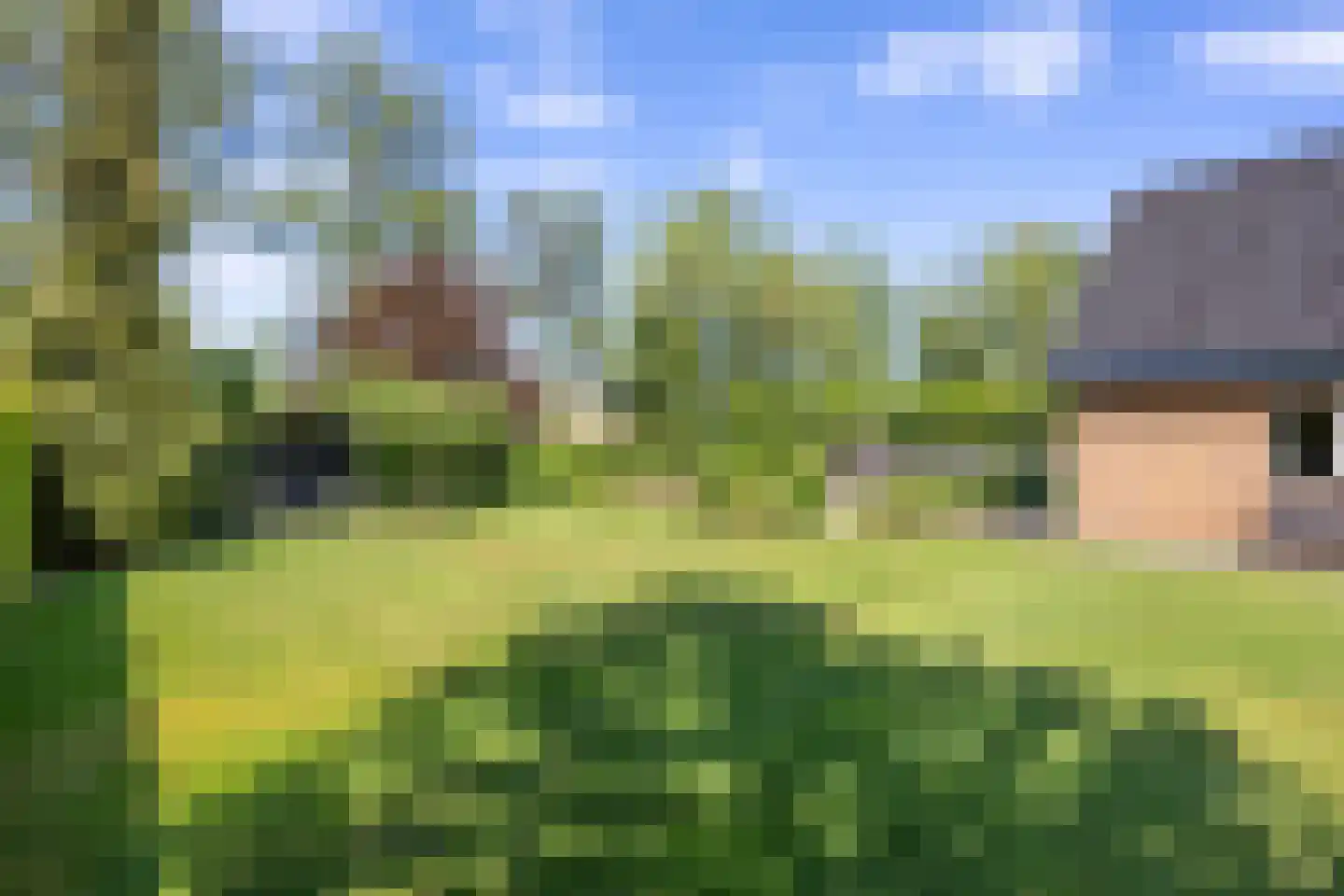Zuiderbuuren 5 Marum thumbnail 69