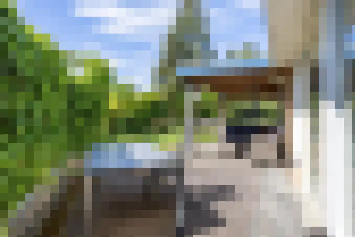 Zuiderbuuren 5 Marum thumbnail 73