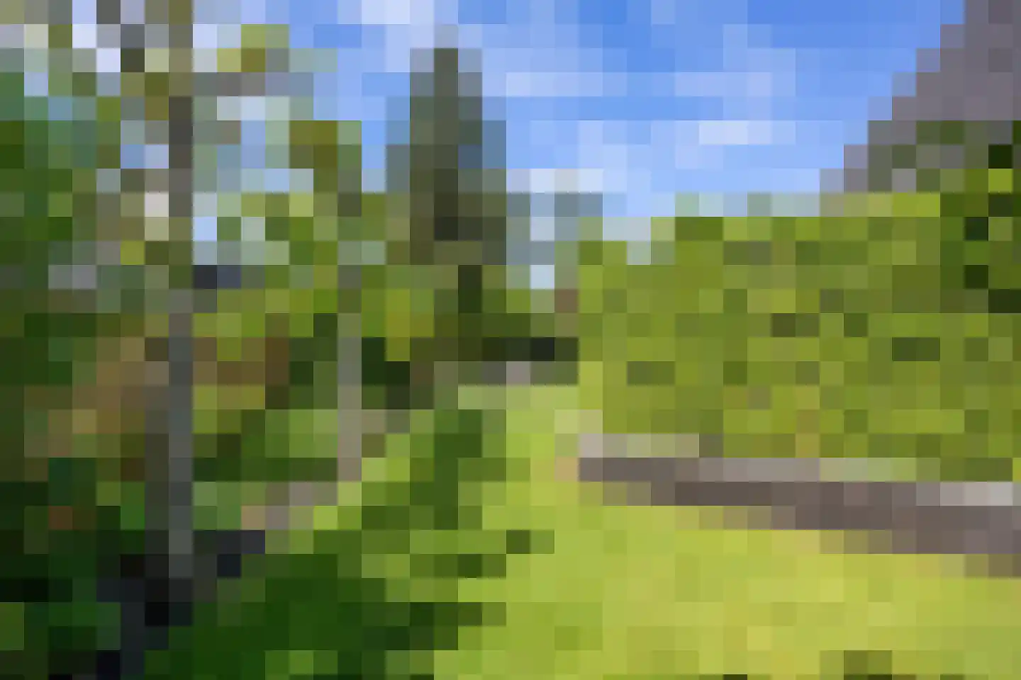 Zuiderbuuren 5 Marum thumbnail 76
